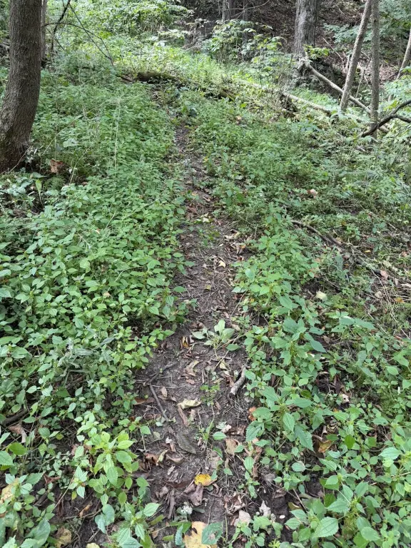 Picture 29