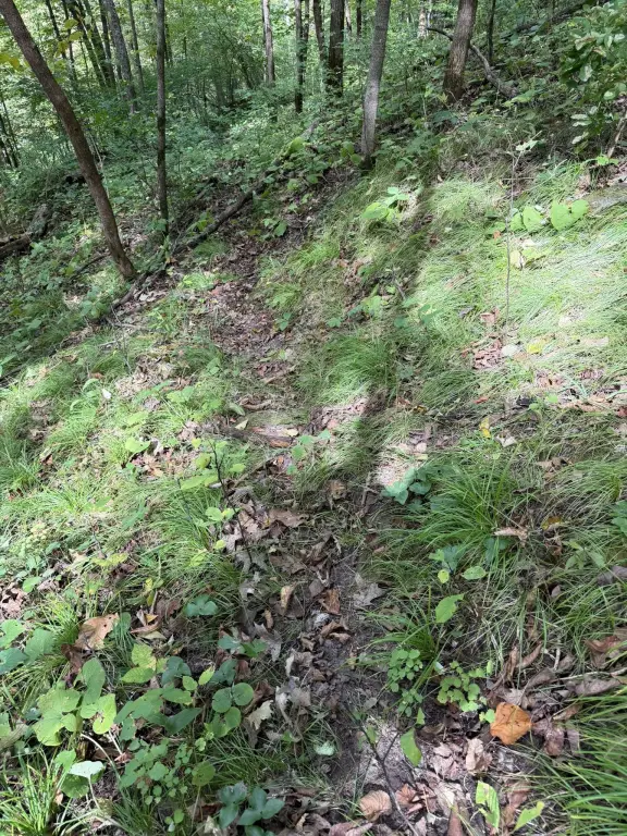 Picture 15