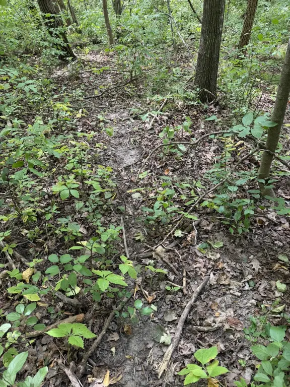 Picture 25