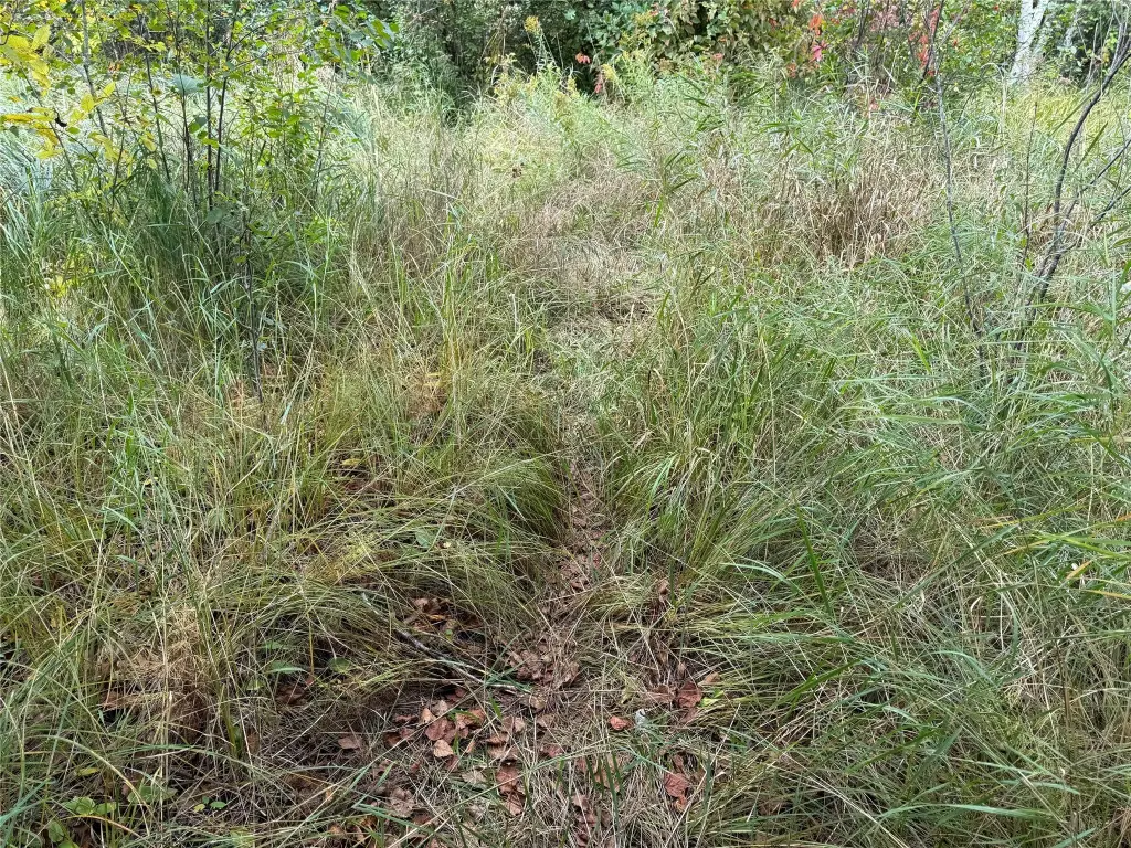Picture 30