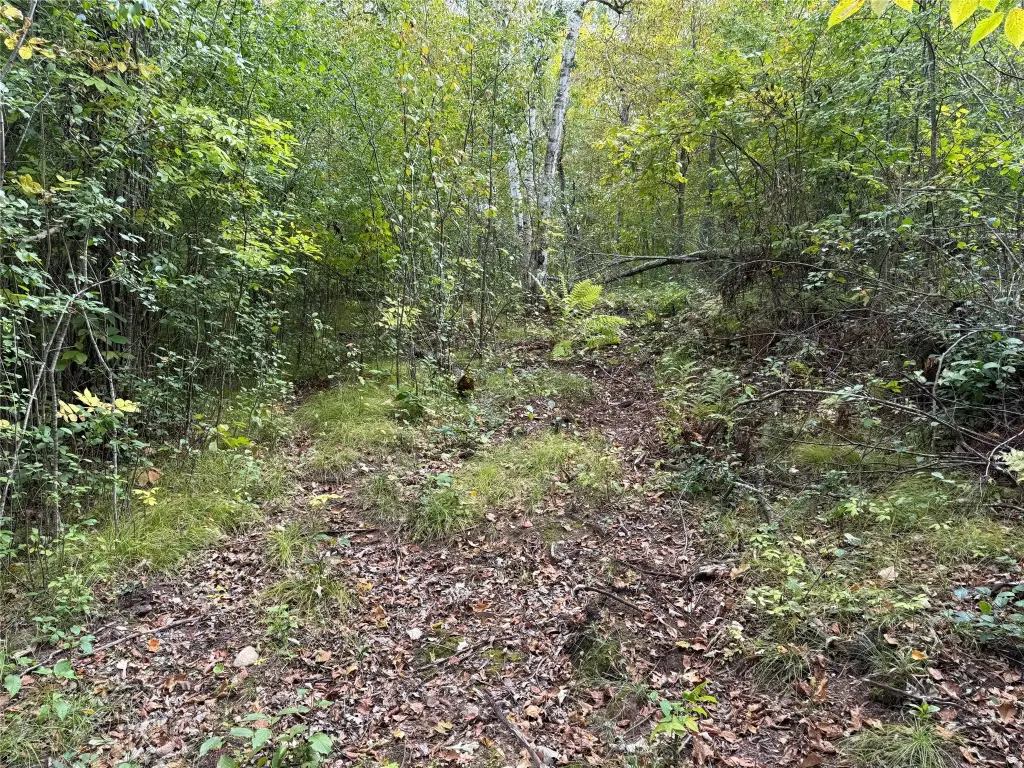 Picture 28