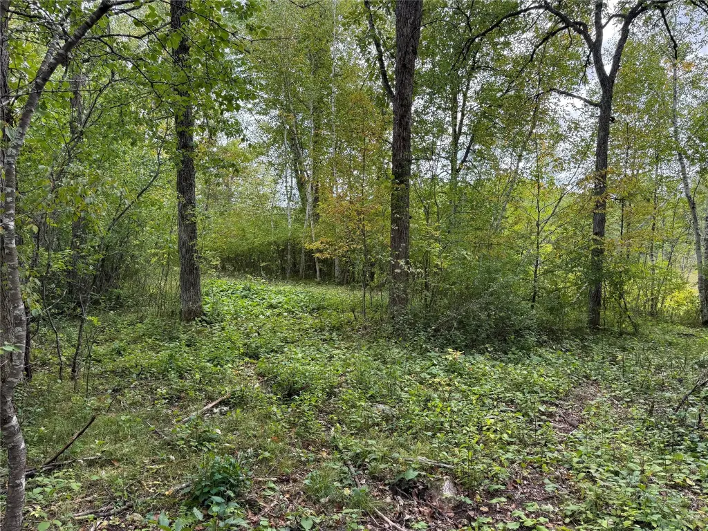 Picture 10
