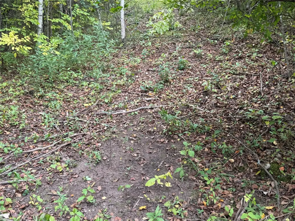 Picture 18