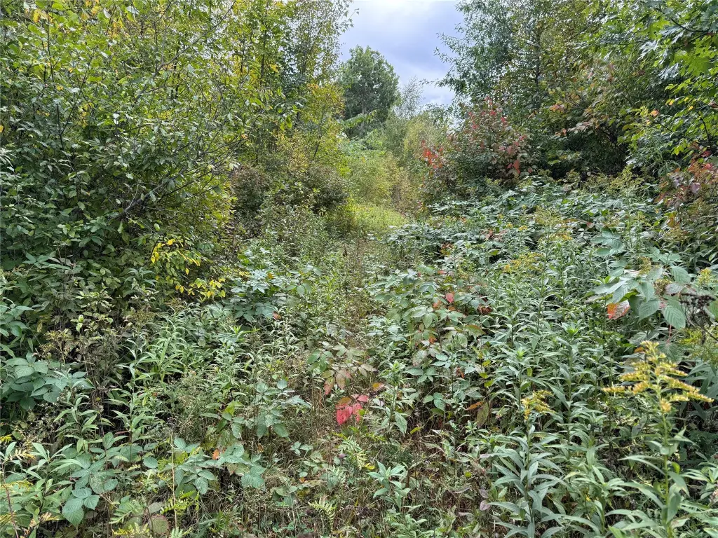 Picture 31