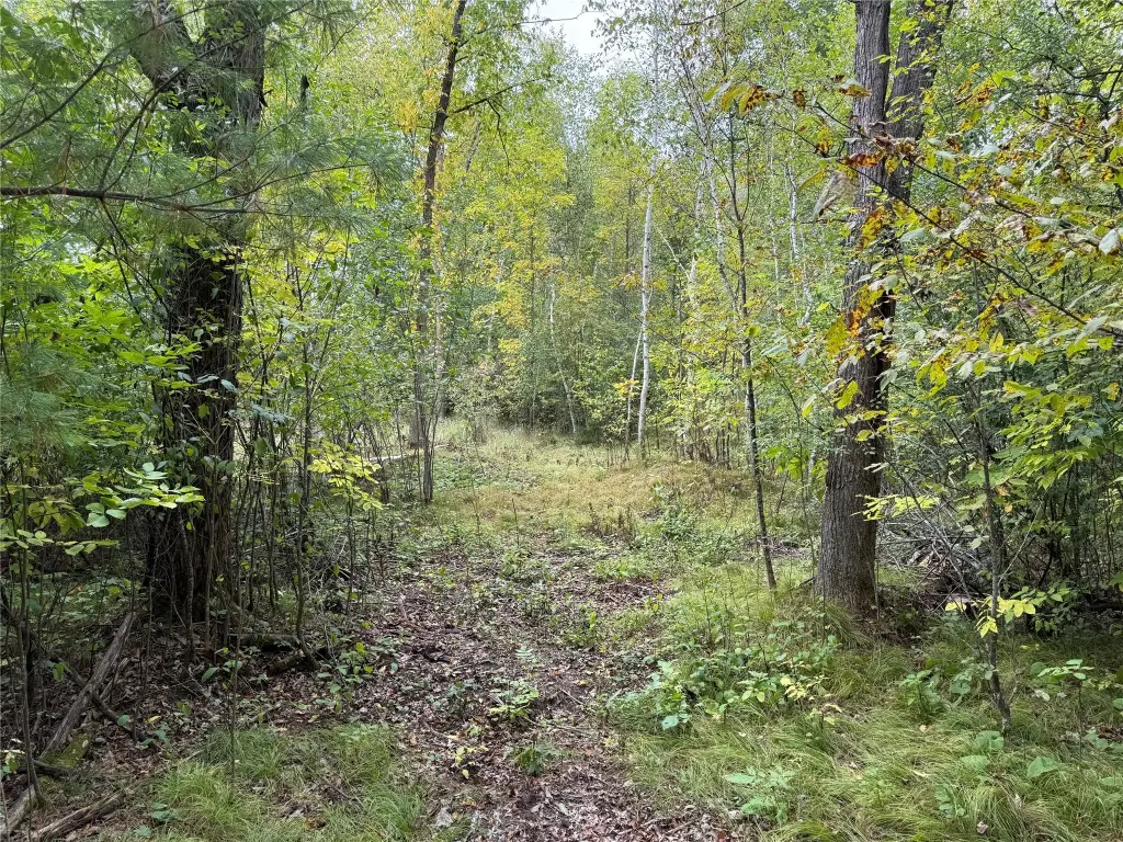 Picture 13