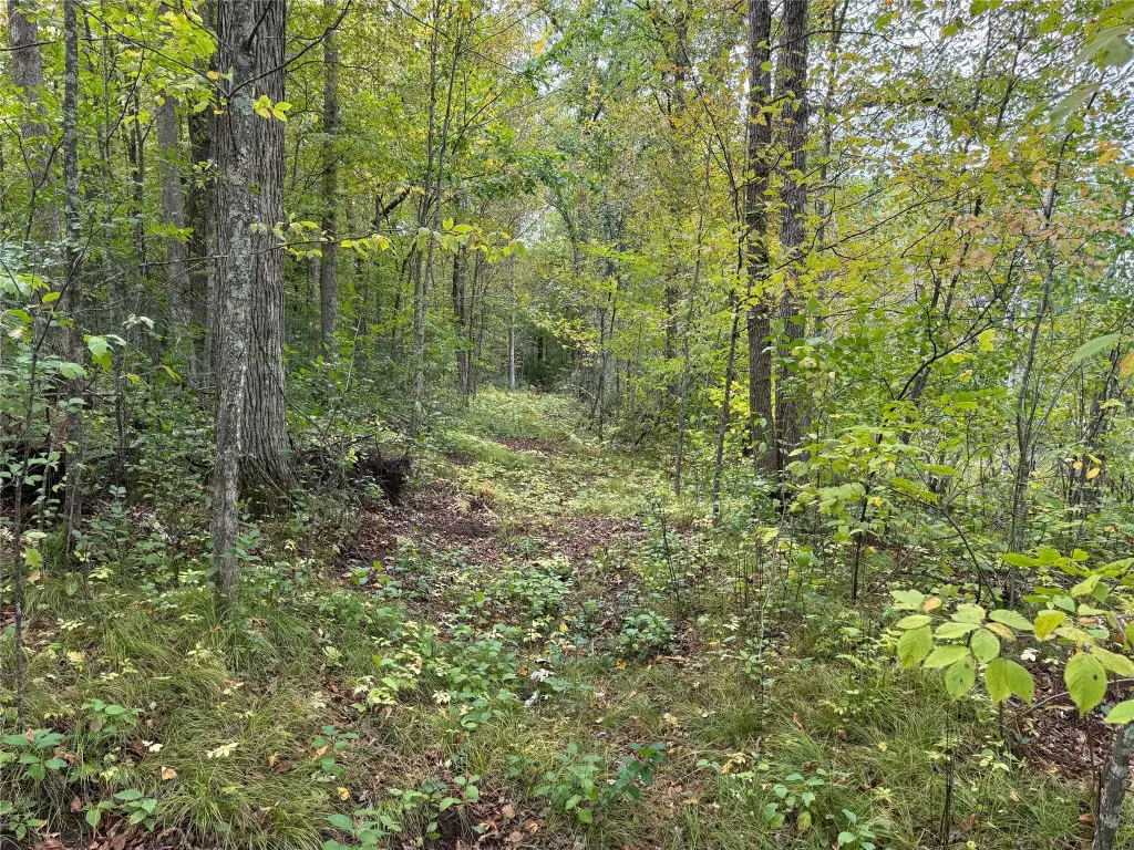 Picture 29