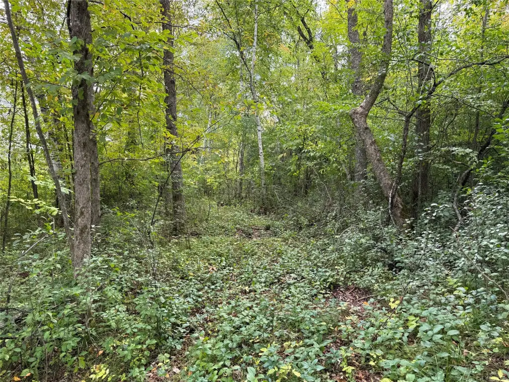Picture 27