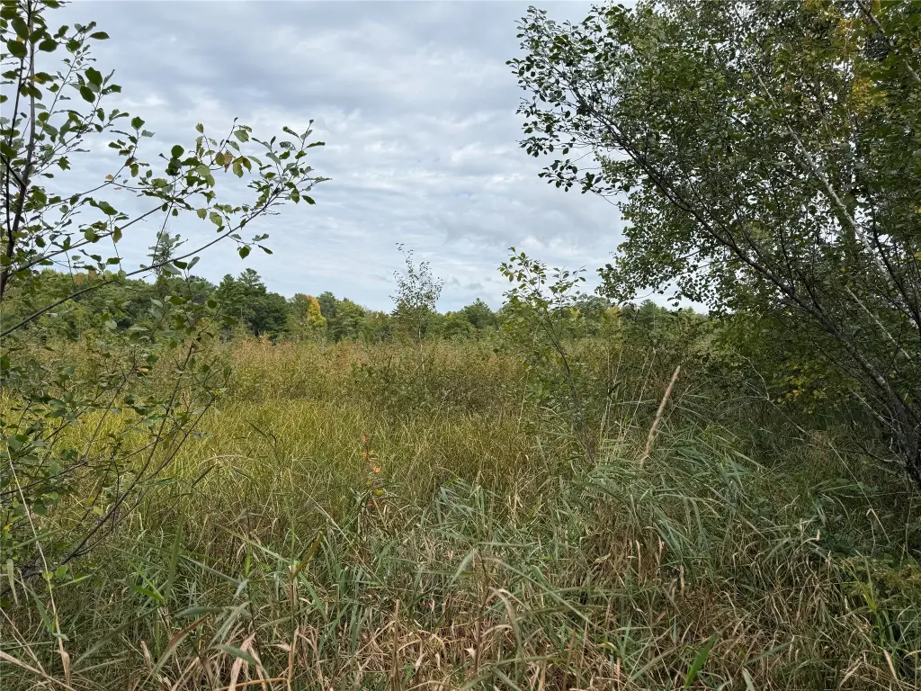 Picture 25