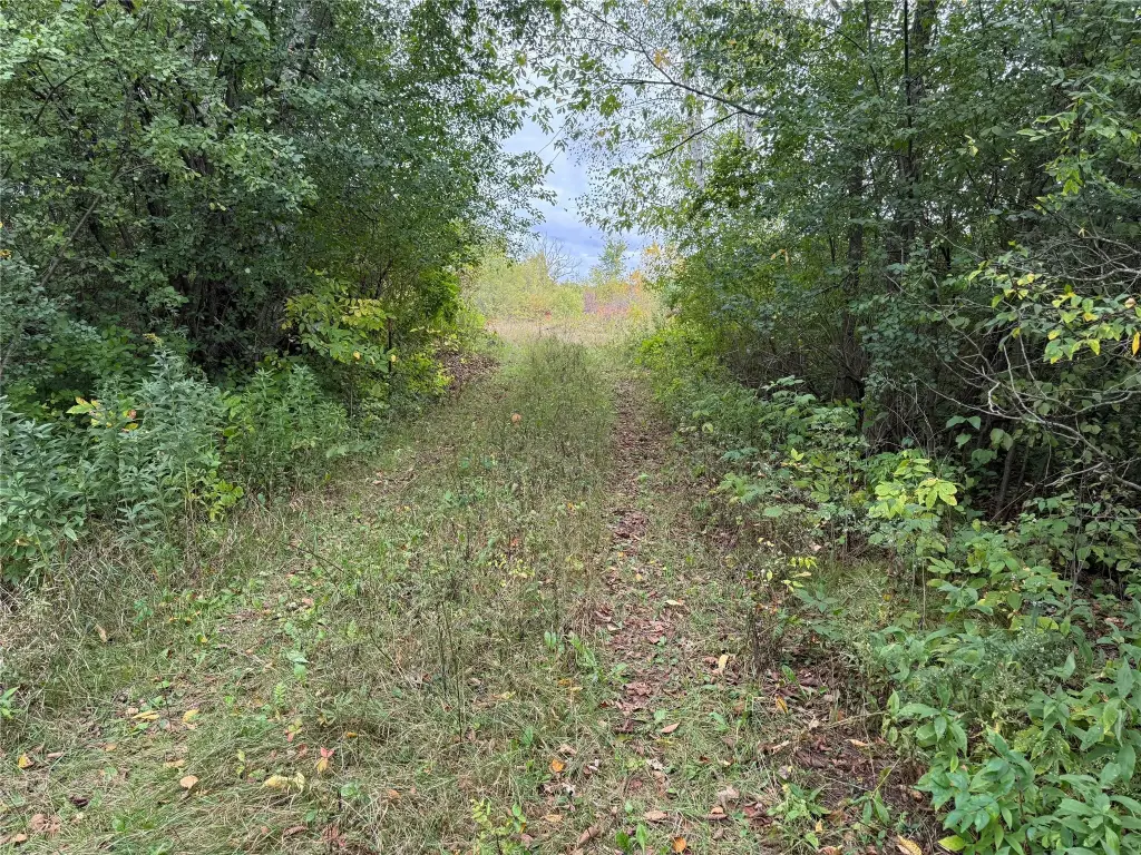 Picture 5