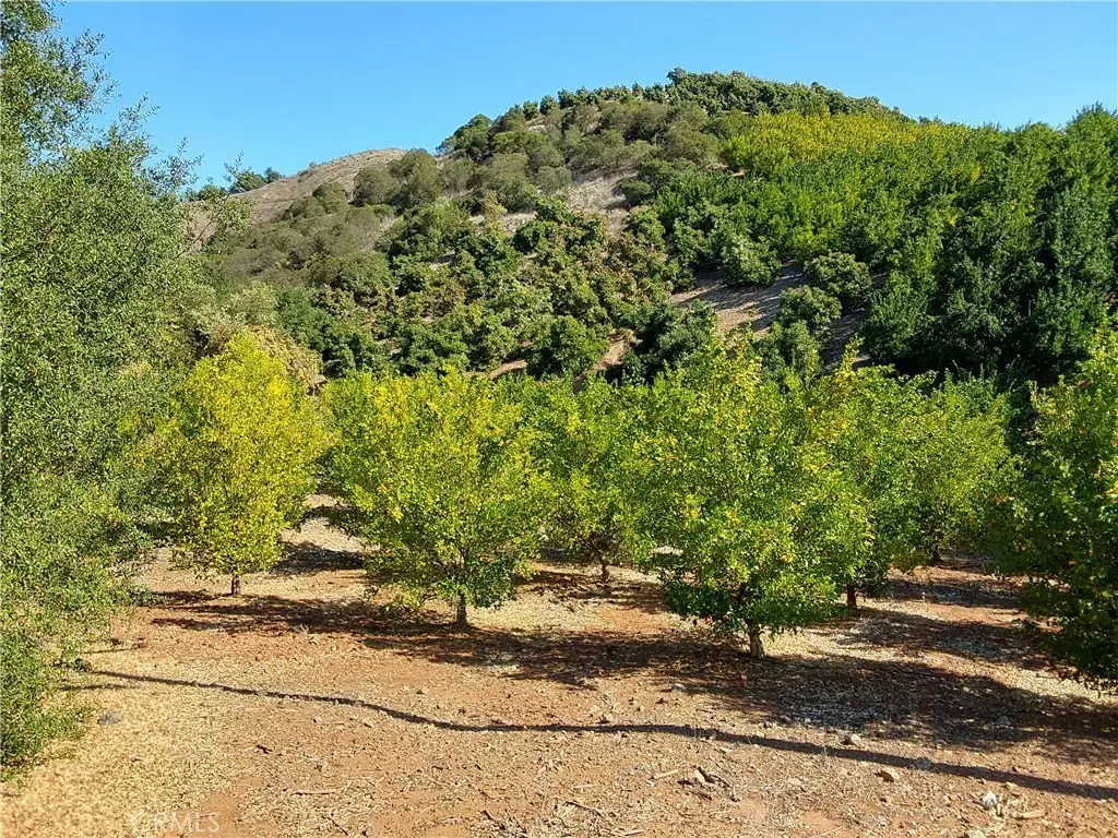 Picture 39