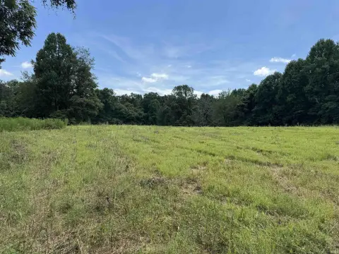 35 Acres in Greene County