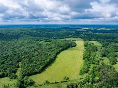 Ozark Property with Airstrip