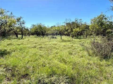 29 Acres Near Brownwood, TX
