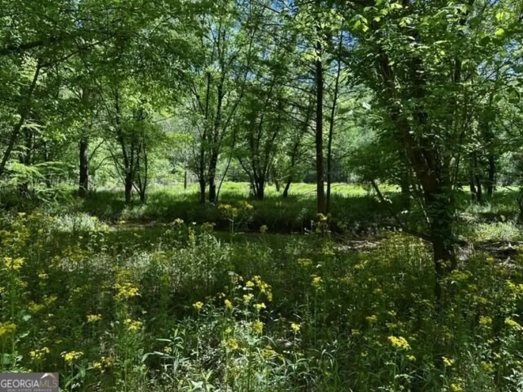 Picture 20