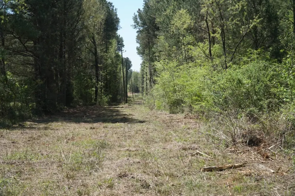 Picture 8