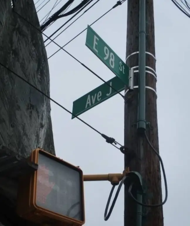 Picture 8