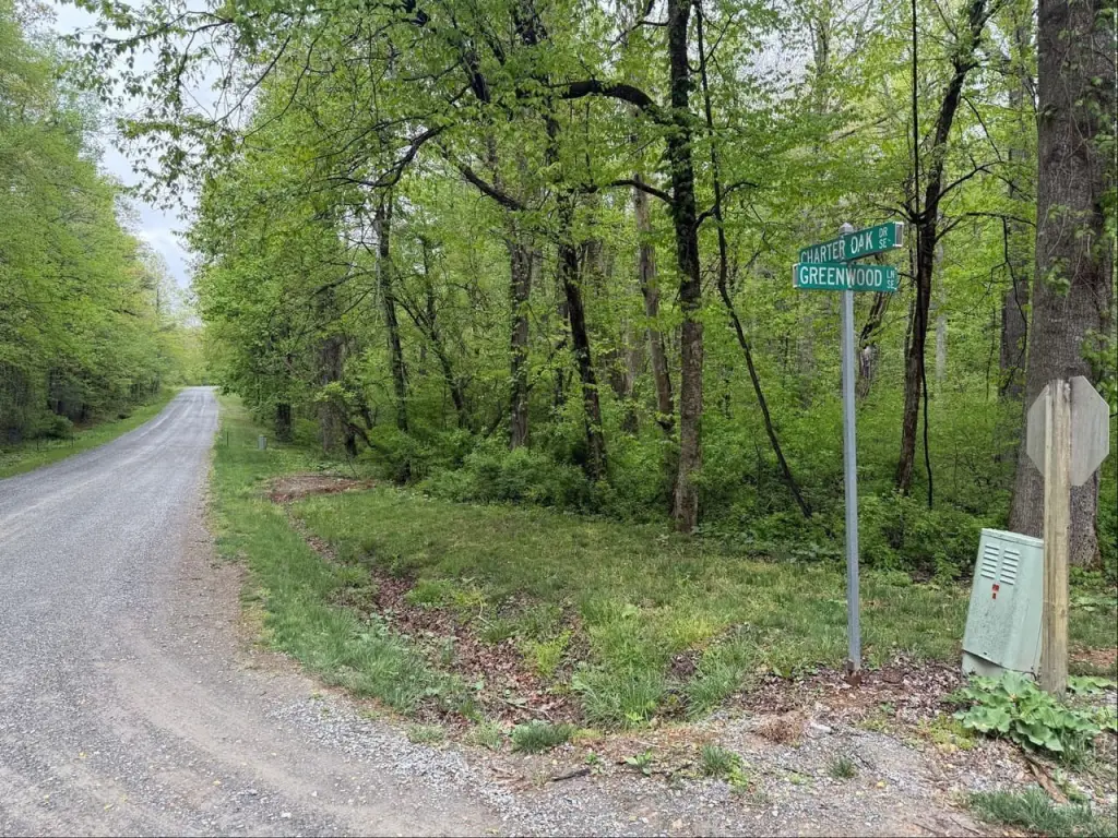 Picture 19
