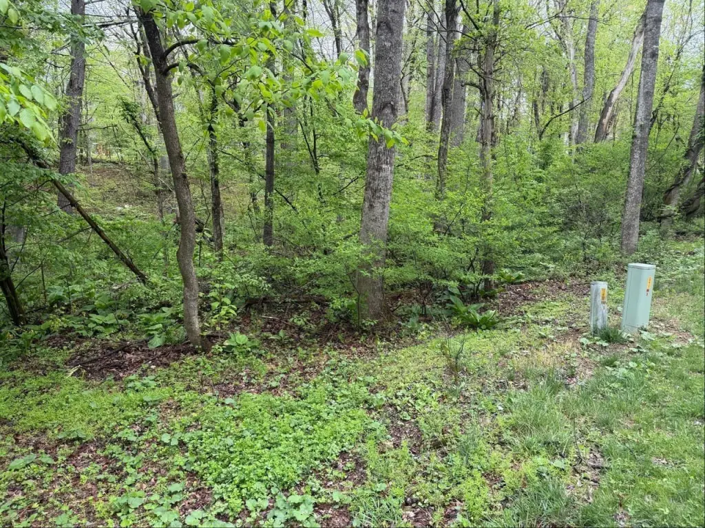 Picture 17