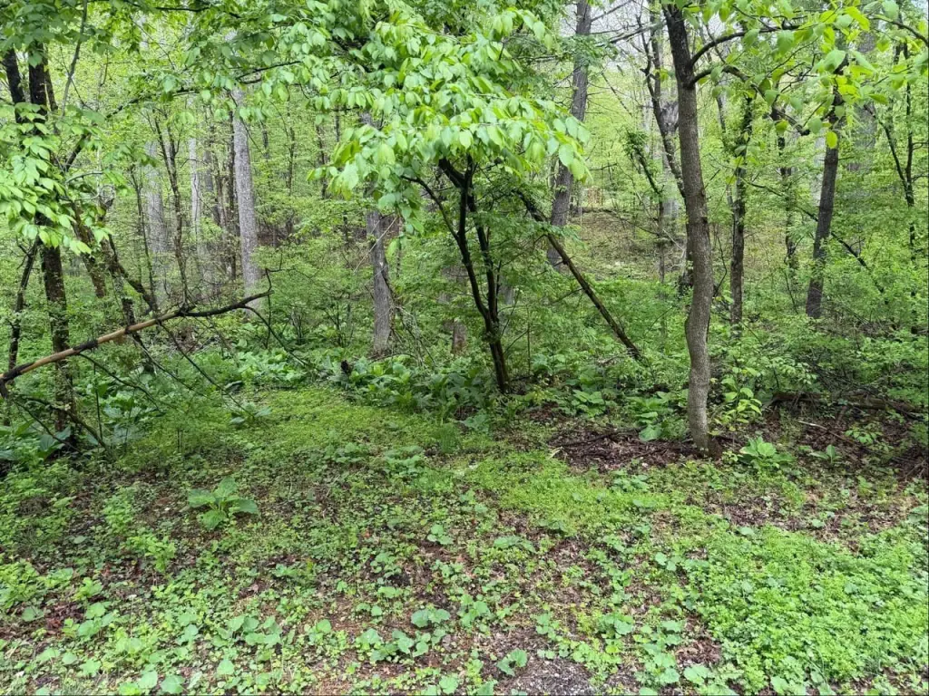 Picture 14