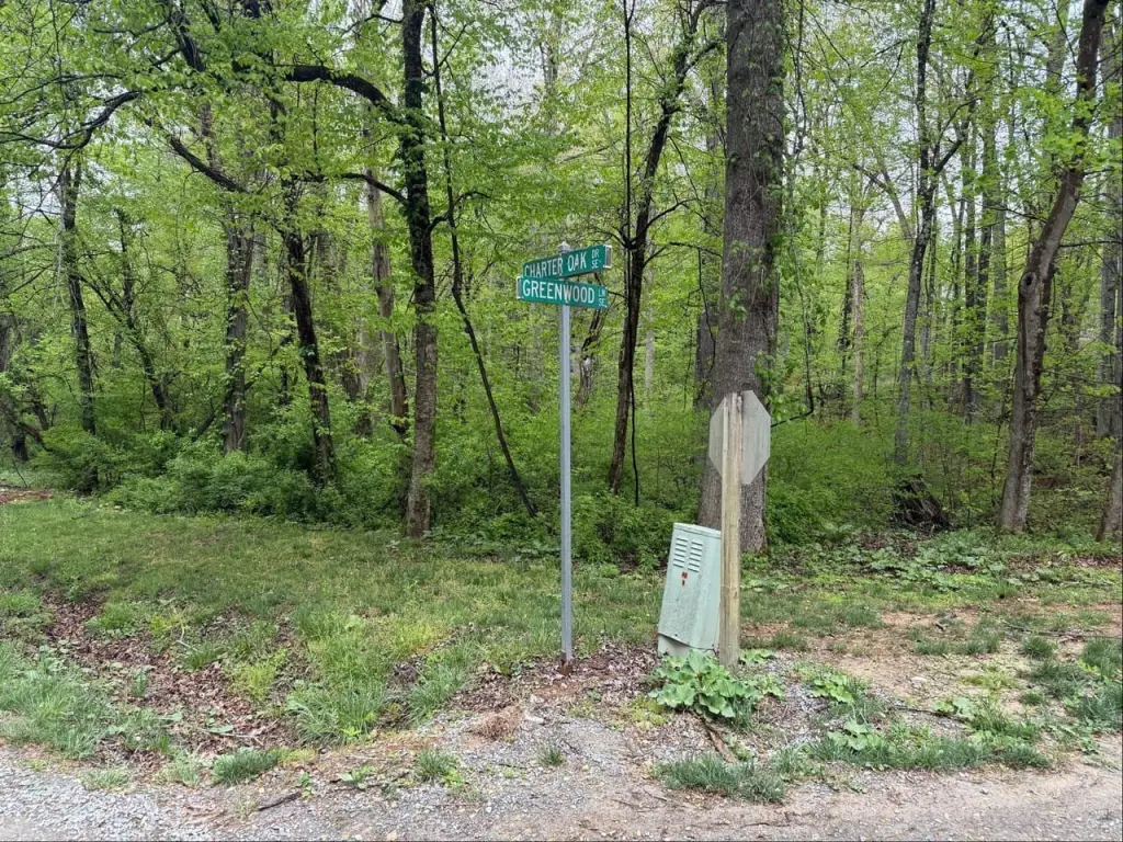 Picture 20