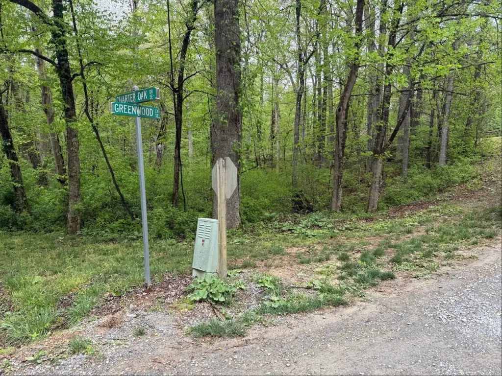 Picture 18