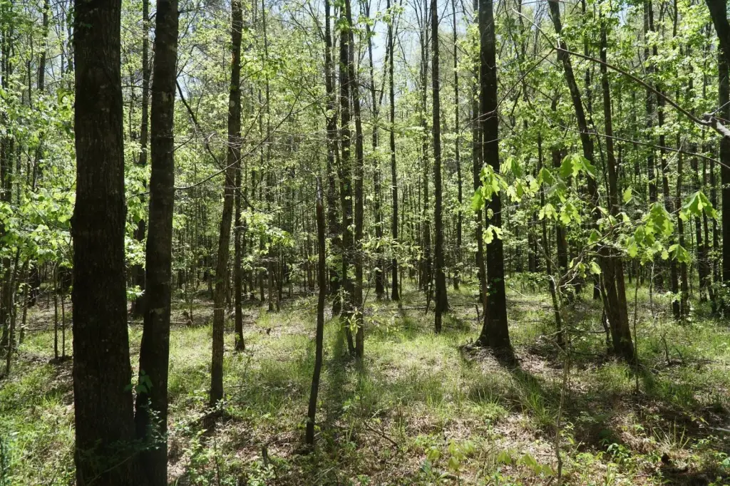 Picture 16