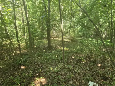 Whitehall Land Near Expressway