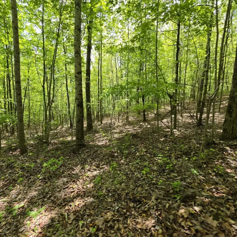 Picture 11