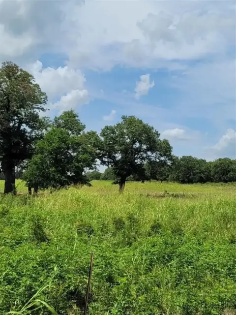 Secluded Wooded Acreage Near Town