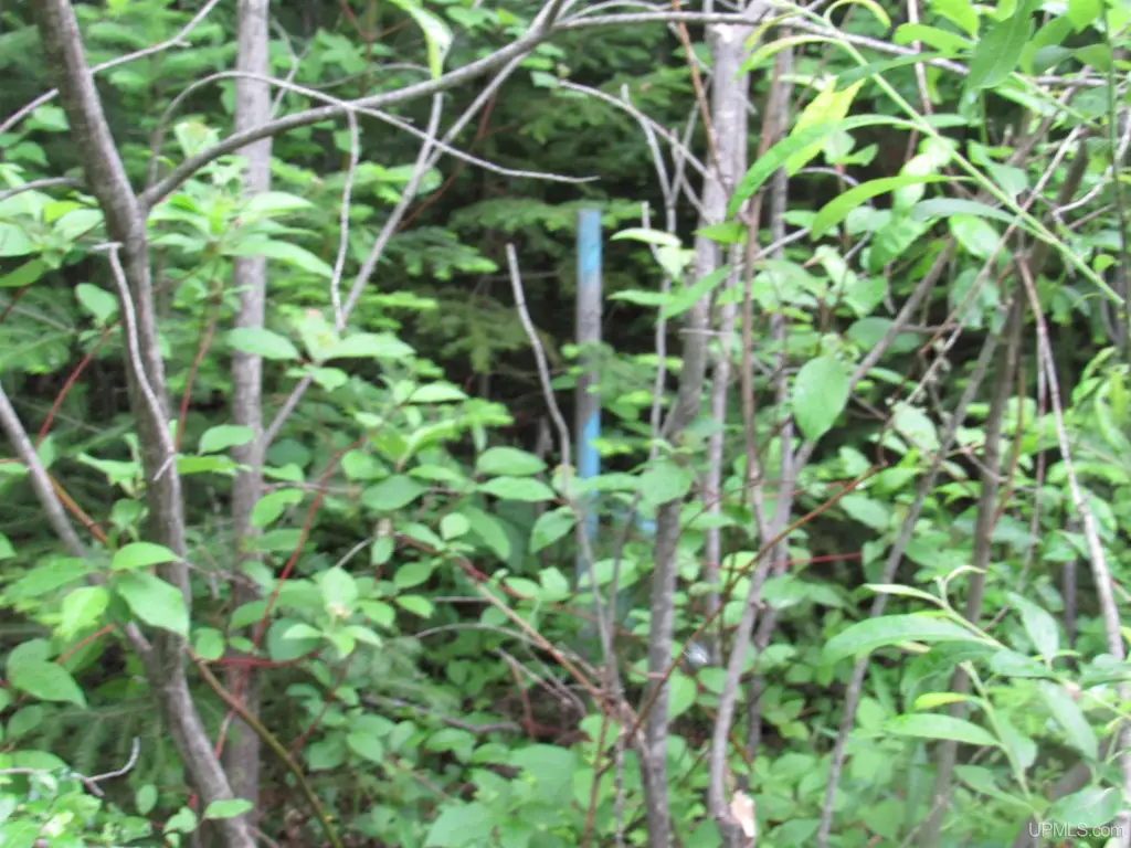 Picture 11