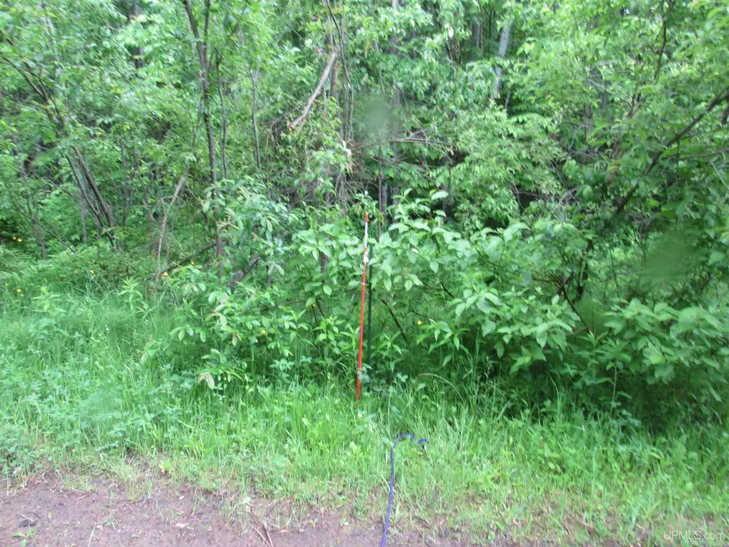Picture 17