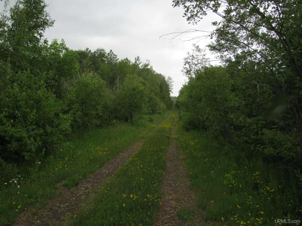 Picture 13