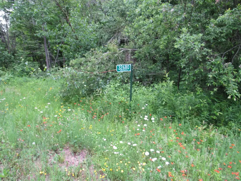 Picture 23