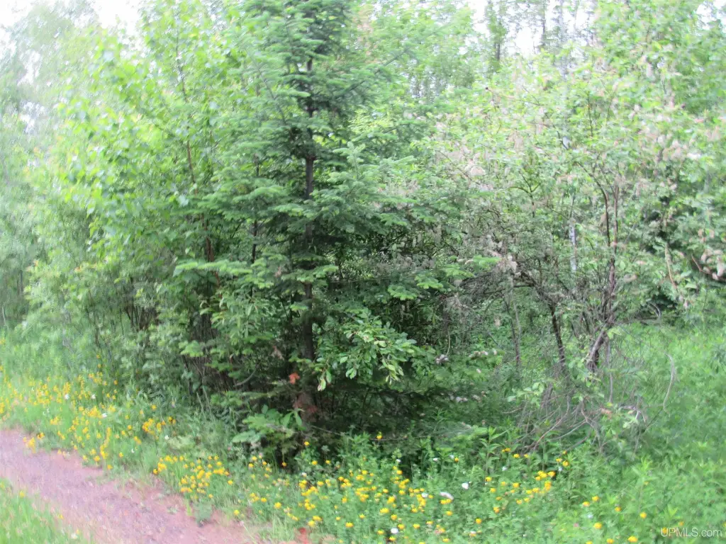 Picture 9