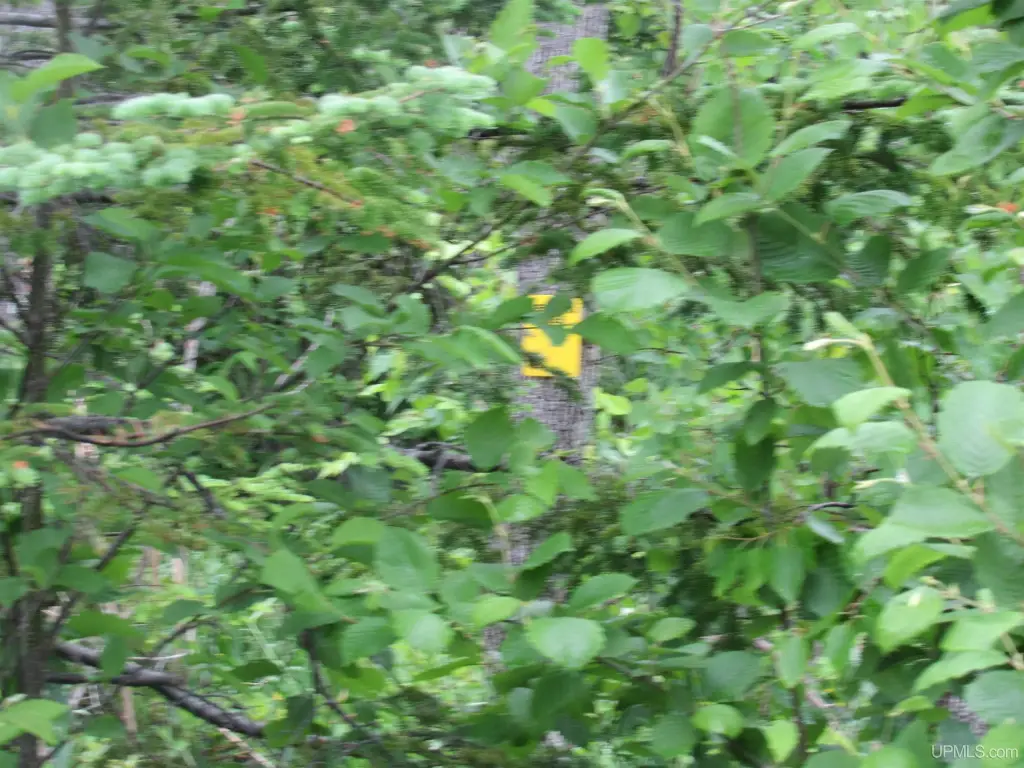 Picture 22