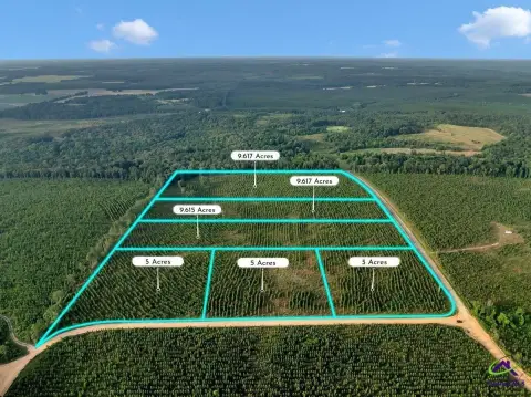 Residential Lot in Reynolds, GA