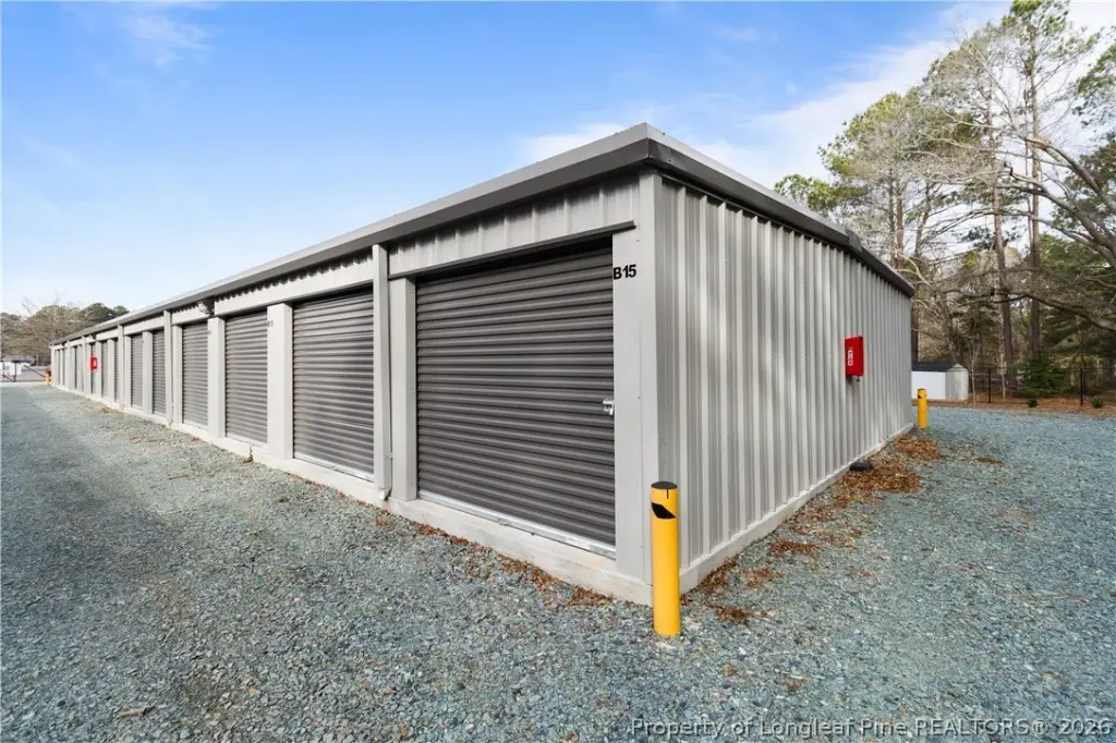 Picture 6