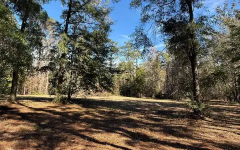 5-Acre Agricultural Land Near Lake City