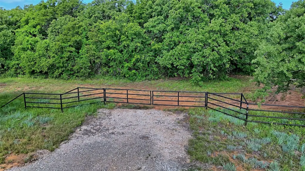 Picture 8