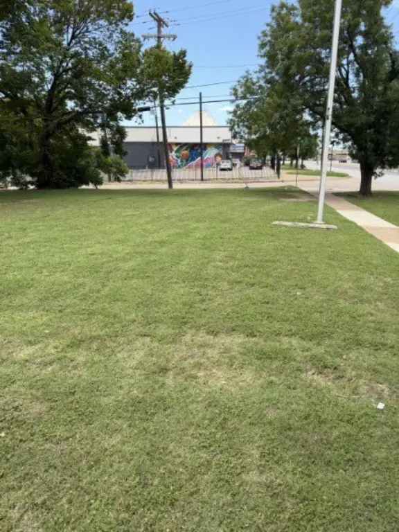 Picture 2