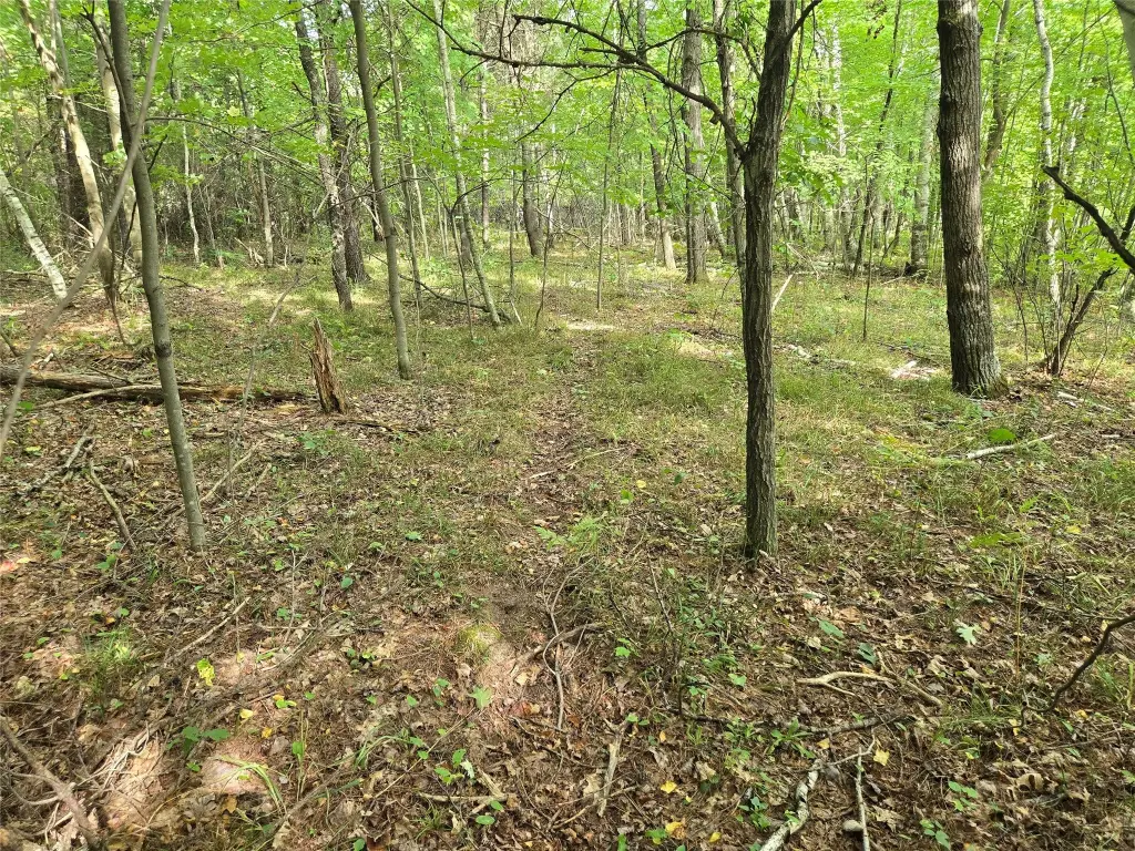 Picture 17