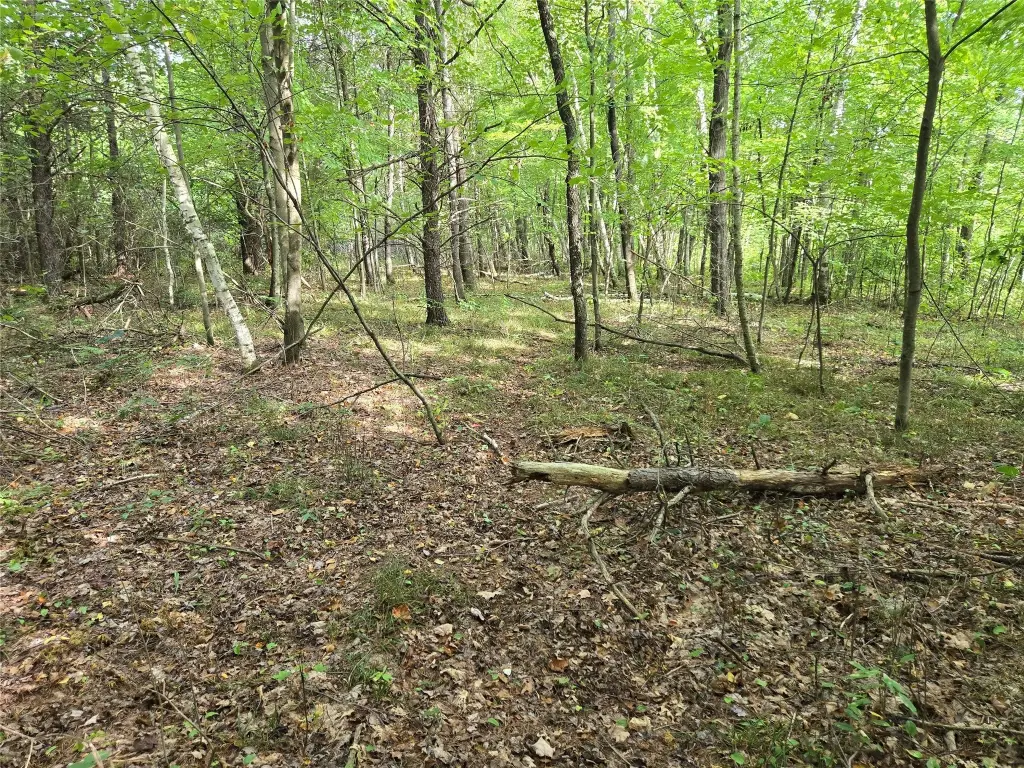 Picture 16