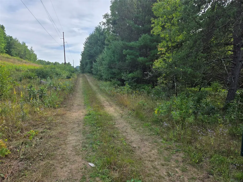 Picture 19