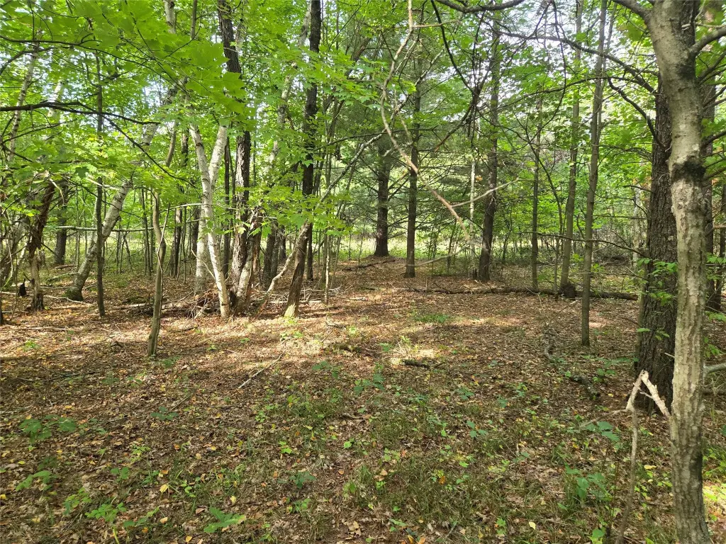 Picture 15