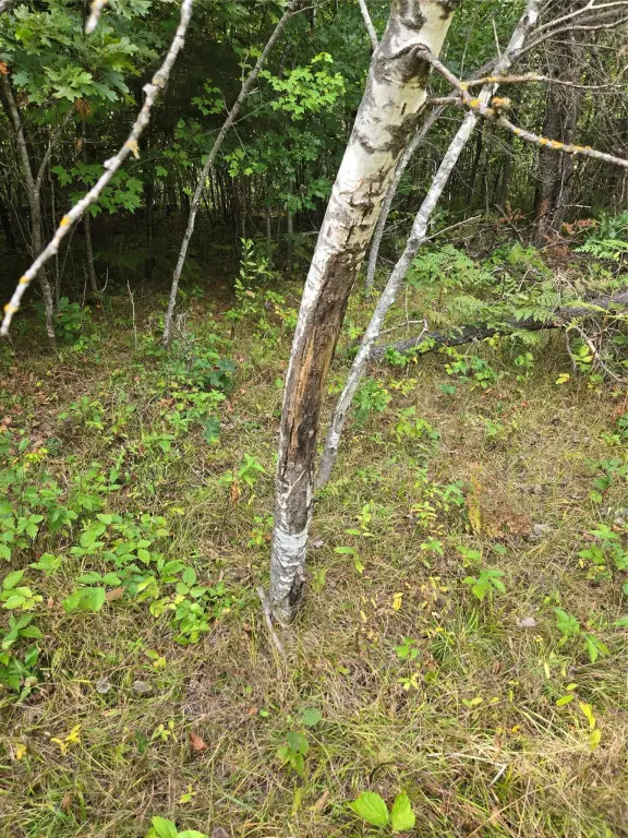 Picture 14