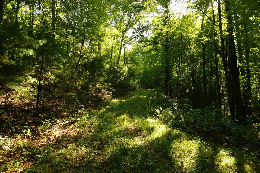 Picture 14