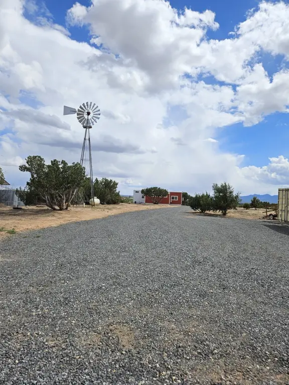 Picture 20