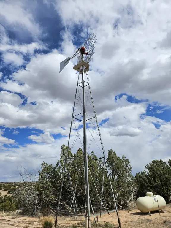 Picture 21