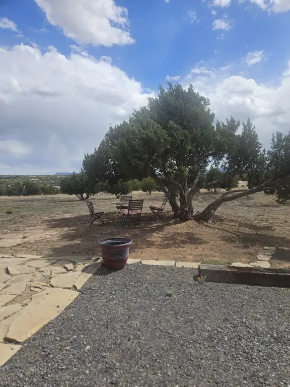 Picture 18