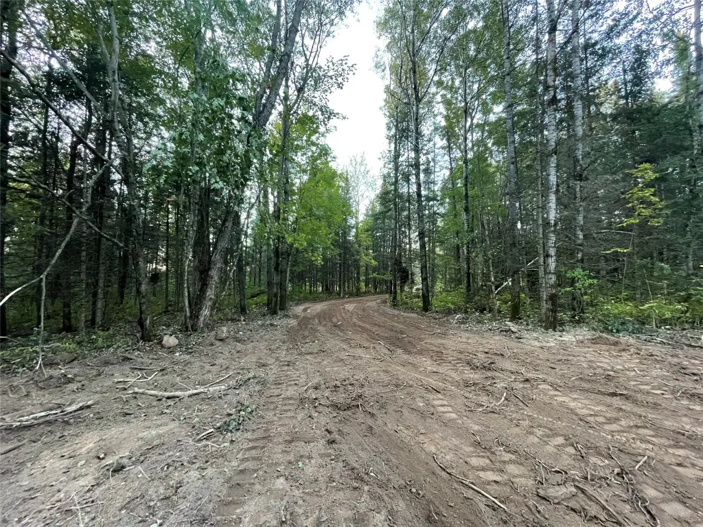 Picture 12